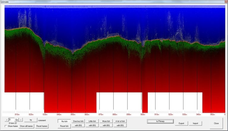 Нормализованная эхограмма DownScan канала