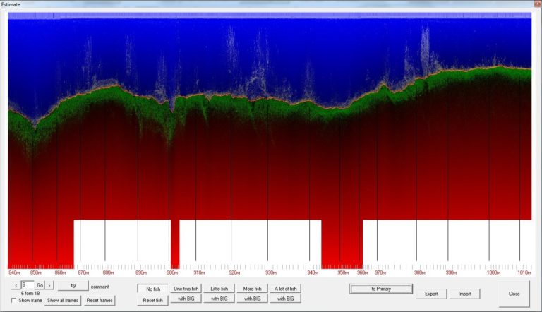 Эхограмма DownScan канала