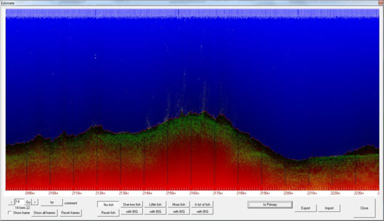 Нормализованная эхограмма DownScan канала